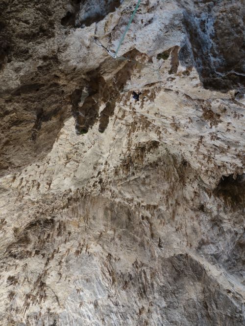 Sardinie - Bolting v grotta dei Colombi