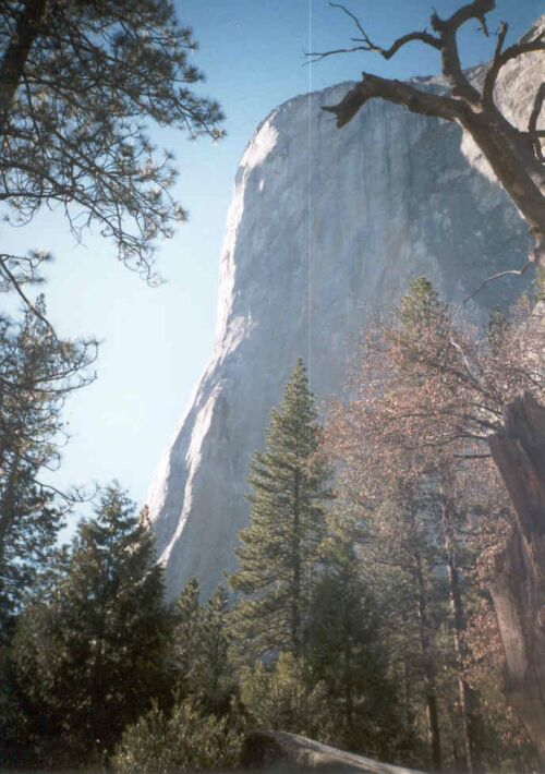 USA - Yosemite - El Capitan