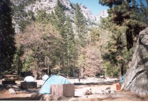 USA - Yosemite - Sunnyside Campground - Camp 4