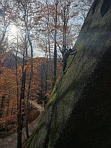 Vinin plotna, Jizerky